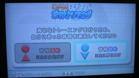 DAMボイストレーニング