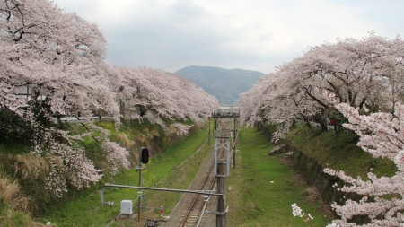 約300メートル先に山北駅