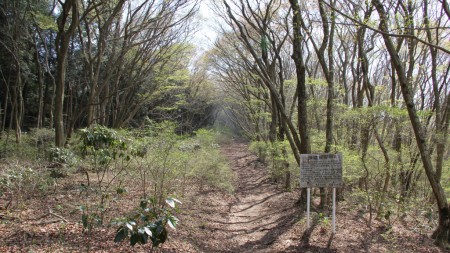 地震の影響は見られない