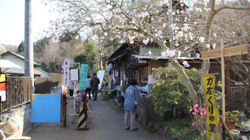 城山かたくりの里