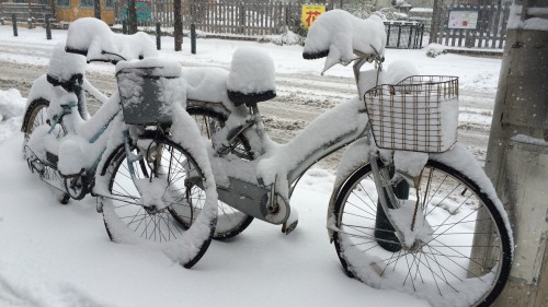 自転車の積雪