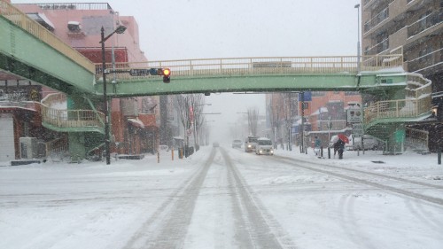 相模原市内の吹雪