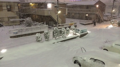 夜間の積雪