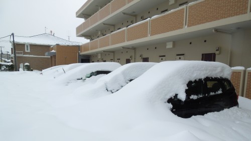 車は発進不可能