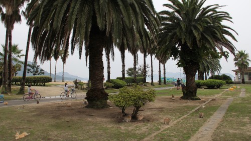 大久野島に到着