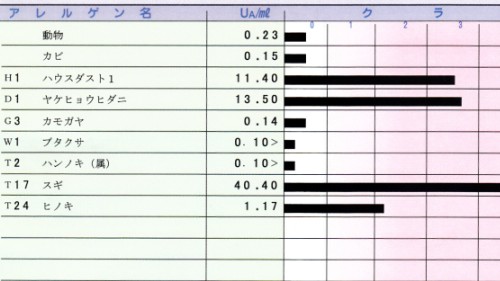 アレルギー検査結果