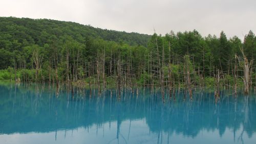 青い池